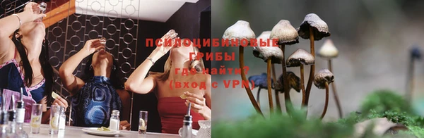 шишки Алексин