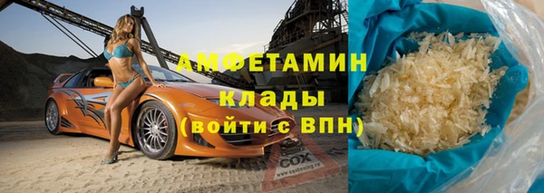 шишки Алексин